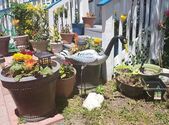 Anna's Place * Ocean City